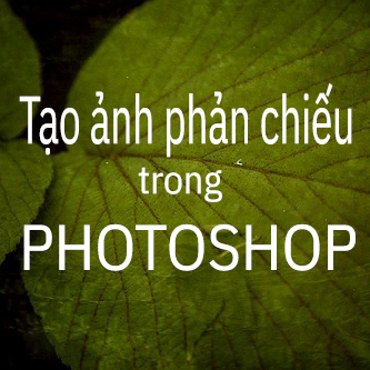 Tạo ảnh phản chiếu với Photoshop vô cùng đơn giản