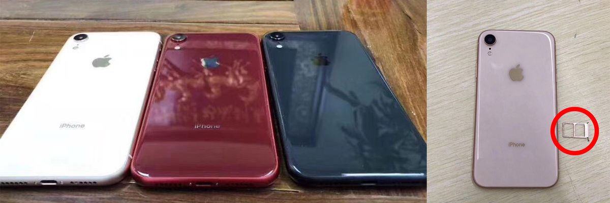 iPhone phiên bản 6.1 inch lộ diện với 4 tùy chọn màu sắc, có hỗ trợ 2 SIM