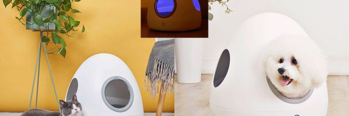 Xiaomi ra mắt Moestar Spaceship: Tổ cho thú cưng, có thể điều khiển nhiệt độ, giá 1.3 triệu đồng
