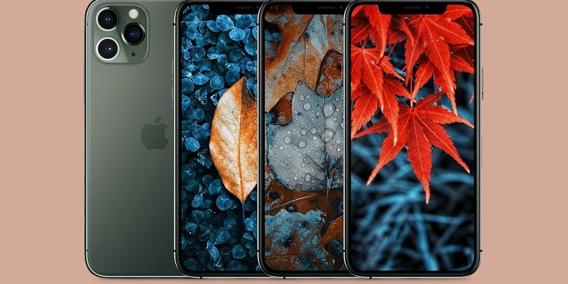 Mời bạn đọc tải về bộ hình nền lá mùa thu dành cho iPhone