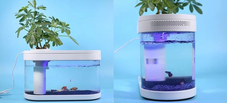 Xiaomi ra mắt bể cá di động chạy bằng sạc dự phòng, giá chỉ 1 triệu đồng