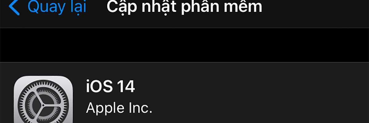 Ngày mai sẽ có iOS 14, iPadOS 14, watchOS 7, tvOS 14 chính thức