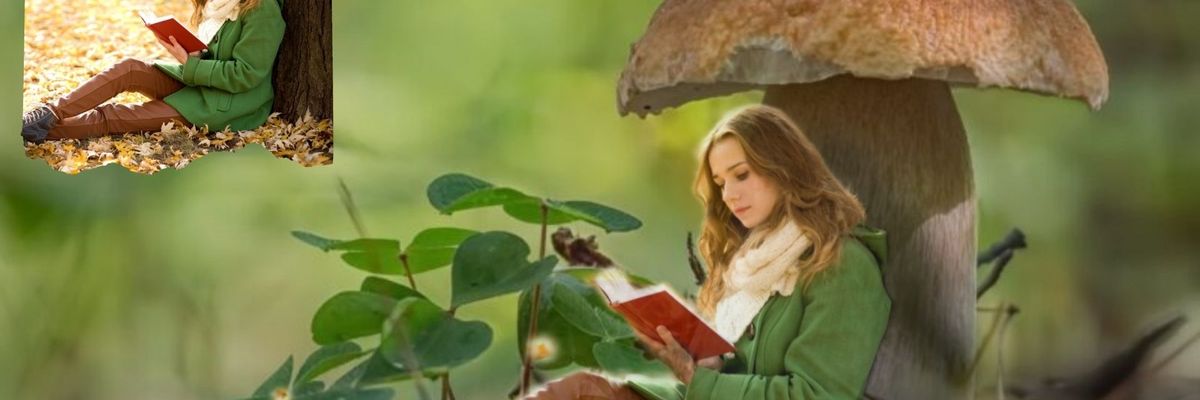 Chỉnh ảnh theo concept “người tí hon” siêu đáng yêu mà dân sống ảo không nên bỏ lỡ! 