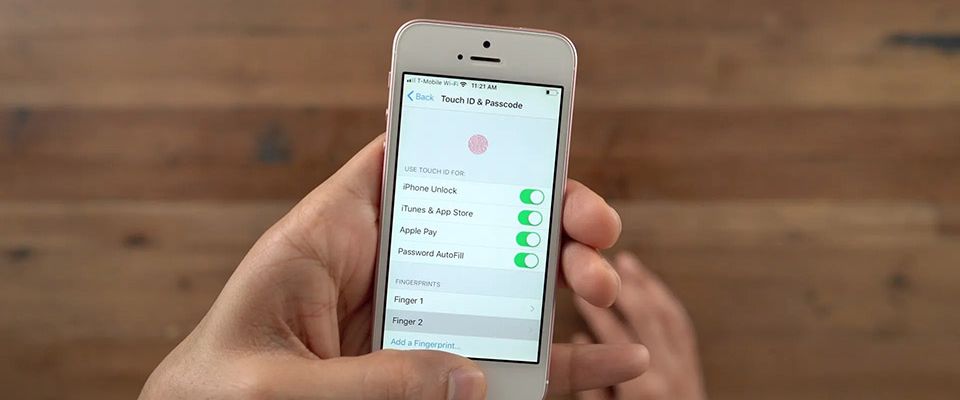 Apple sẽ không sớm mang Touch ID trở lại trên iPhone