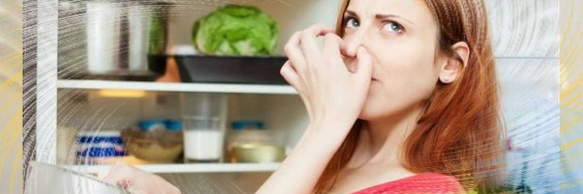 Có cách khử mùi hôi tủ lạnh hiệu quả tại nhà không?