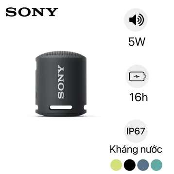 Loa Bluetooth Sony SRS-XB13