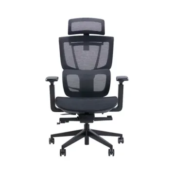 Ghế văn phòng cong thái học Epione Ergochair Pro 2.0