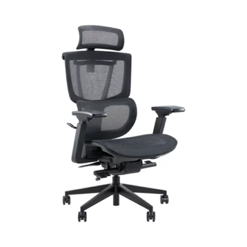 Ghế văn phòng cong thái học Epione Ergochair Pro 2.0