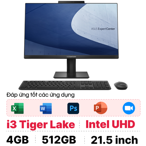 Máy Tính Để Bàn All In One Văn Phòng Asus E5202Whak Bao19W