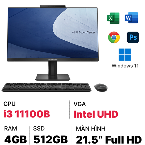  Máy Tính All In One Văn Phòng Asus E5202Whak - Ba076W