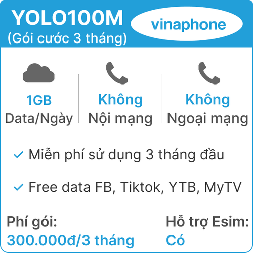 Sim 4G Vinaphone 3Yolo100 (1Gb/Ngày) (Free Tiktok - Ytb - Fb) - 3 Tháng (Thành Phẩm)