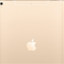 Apple iPad Pro 12.9 4G 64GB