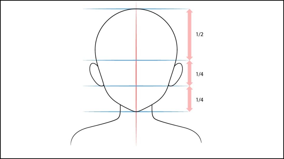 Vẽ đôi tai đối xứng qua đường tâm dọc