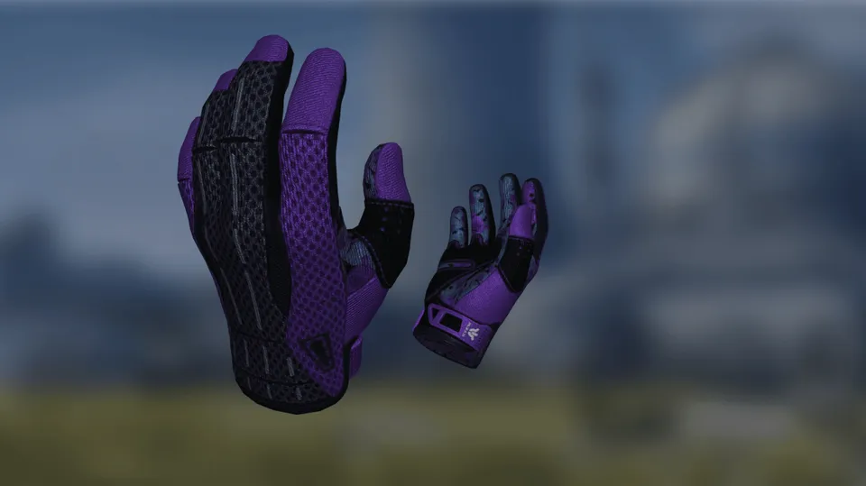 Sport Gloves Pandora's Box + AWP Atheris IBP HOLO