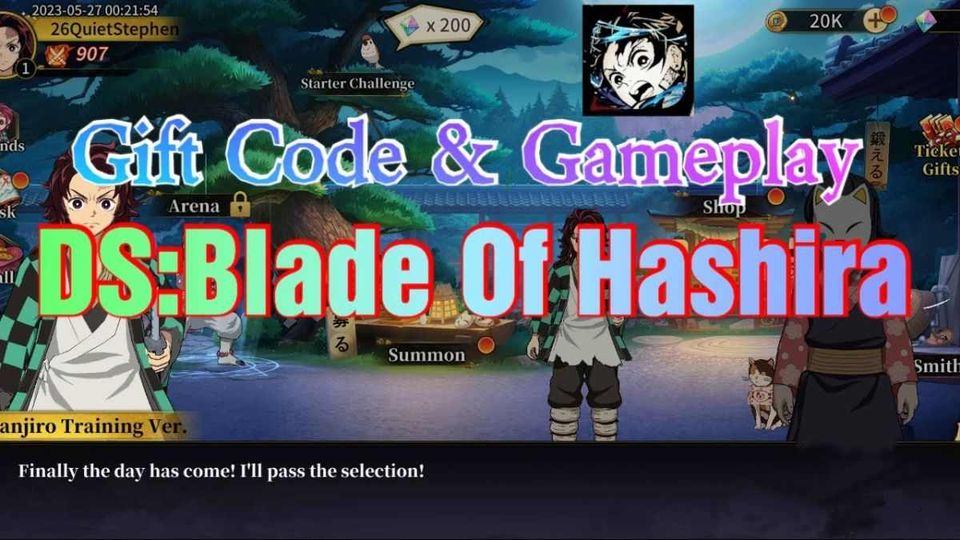 DS - Blade of Hashira Codes