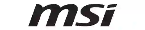 MSI