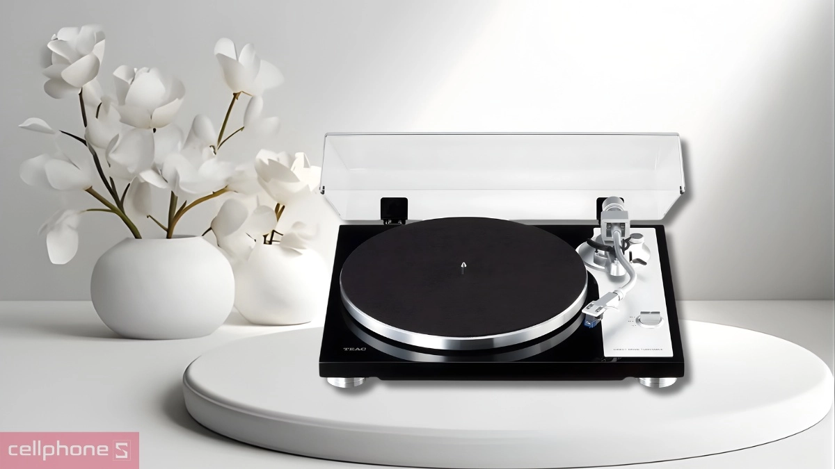 Đầu đĩa than là gì?