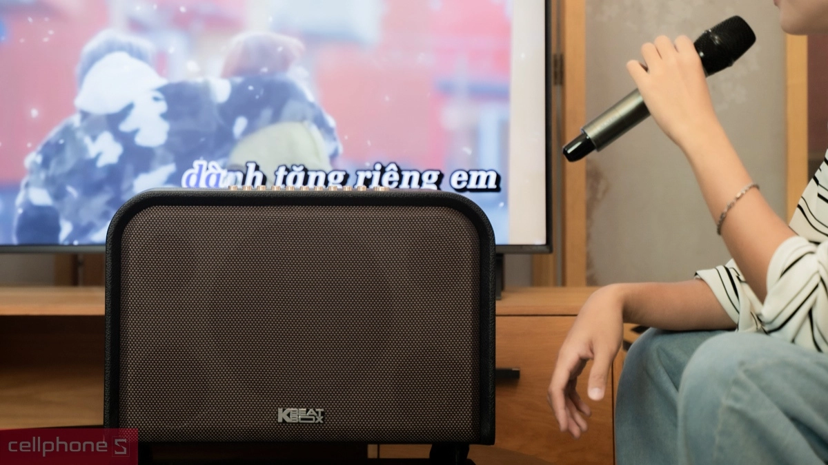 Ghép đôi loa karaoke xách tay Acnos Acoustic 3S