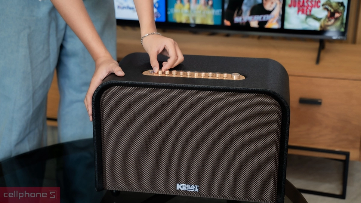 Công suất loa karaoke xách tay Acnos Acoustic 3S