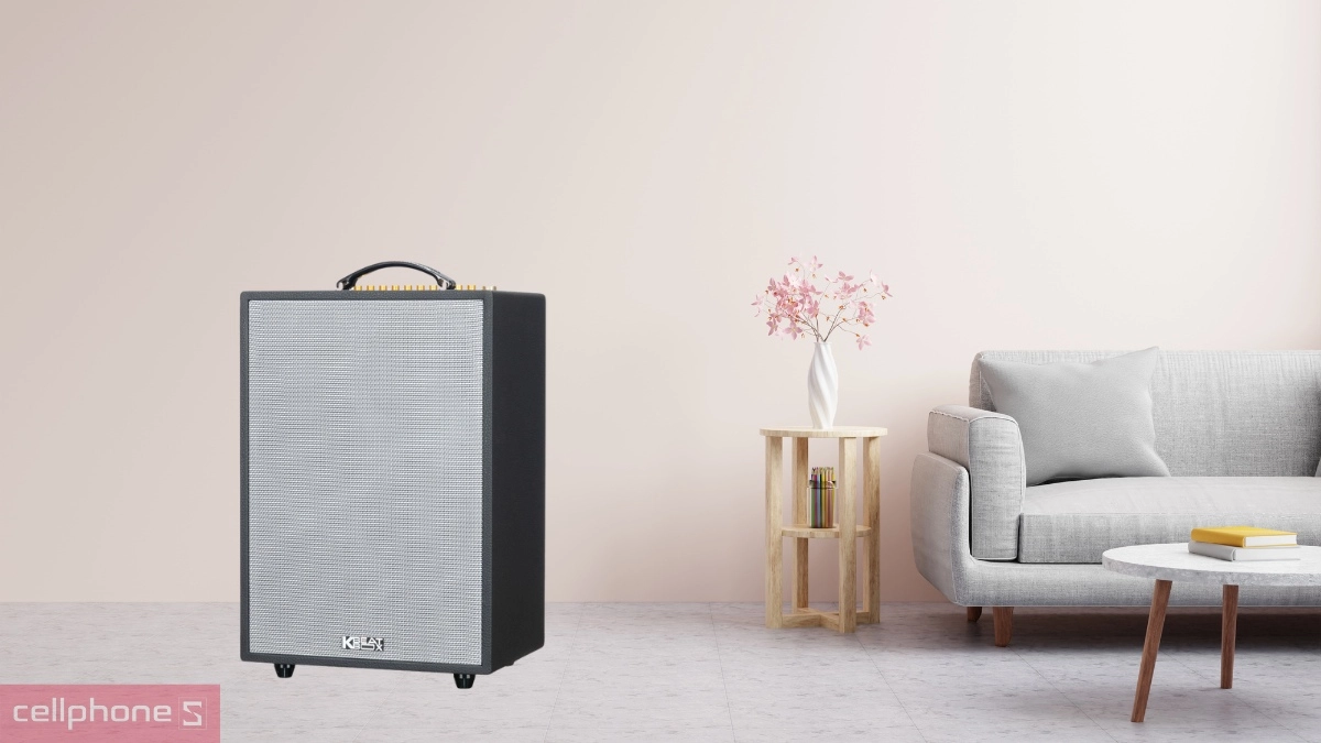 Âm thanh loa karaoke xách tay Acnos Epop 100