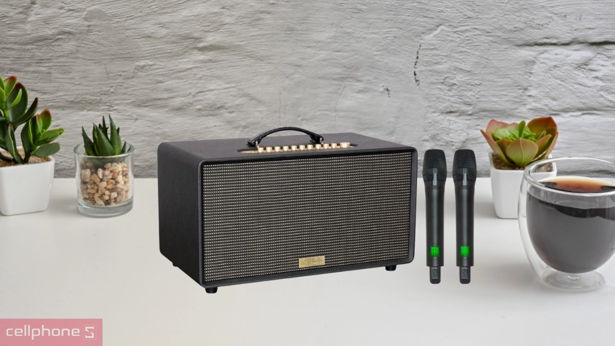 Âm thanh loa Karaoke xách tay ACNOS FLAC 36S