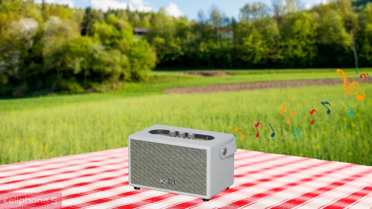 Pin Loa karaoke xách tay Acnos S30