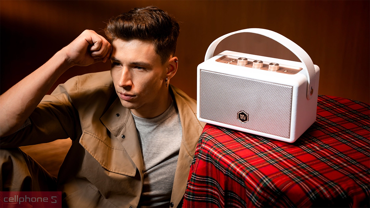 Loa Alpha Works AW-W89 – Phong cách retro cùng âm nhạc ấn tượng