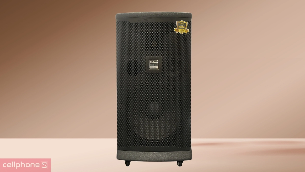 Arirang MK6 Max cho phép kết nối mở rộng với nhạc cụ Guitar, micro