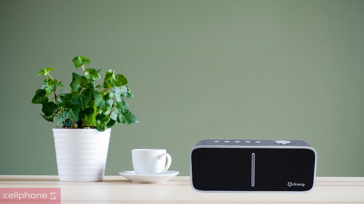 Pin loa Arirang BTA-3625