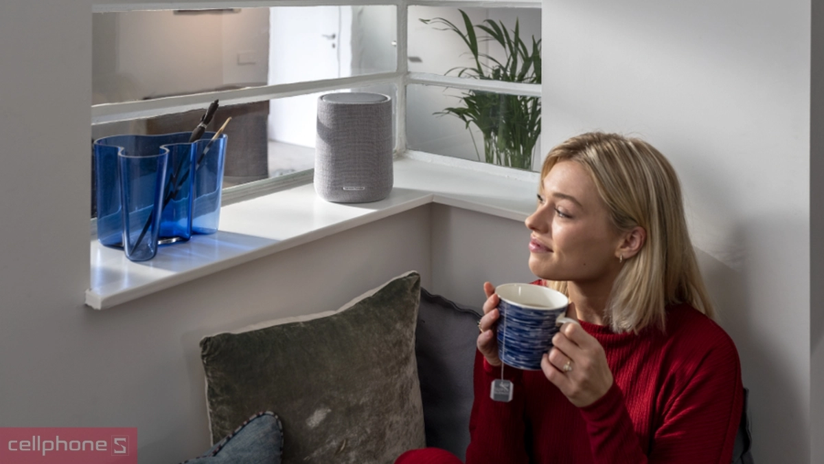 Harman Kardon Citation One MKII