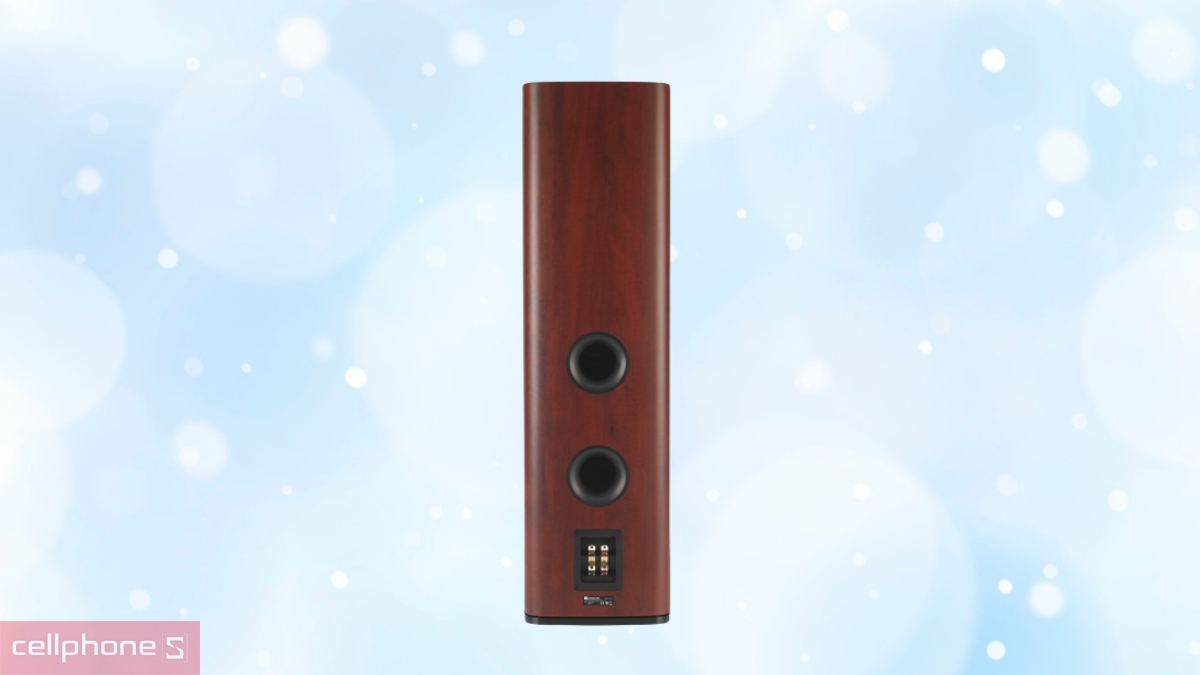 Thiết kế bass-reflex với cổng thoát hơi và cọc loa phía sau