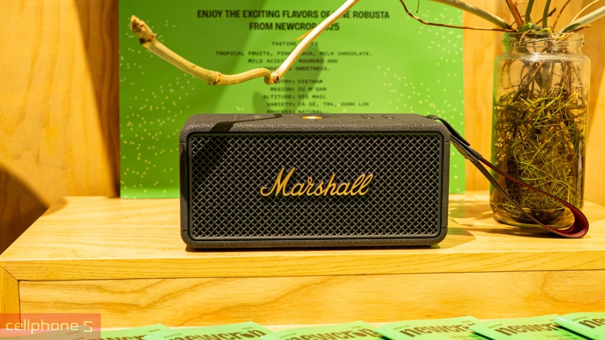 Pin loa Marshall Middleton II