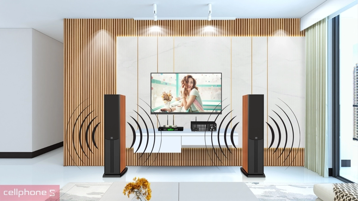 Âm thanh cặp loa Karaoke Paramax LX-3800 240W