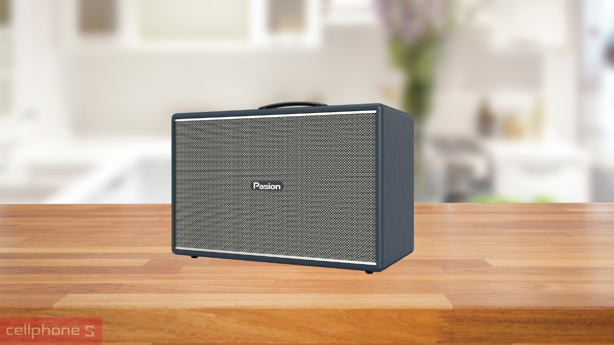 Thiết kế loa karaoke xách tay PARAMAX Pasion Mozo