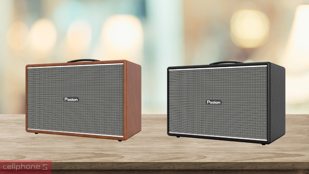 Âm thanh loa karaoke xách tay PARAMAX Pasion Mozo