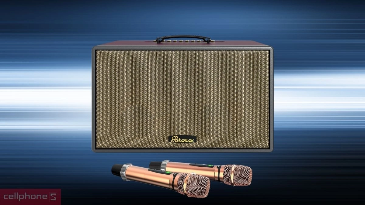 Công suất loa karaoke xách tay PARAMAX Saga