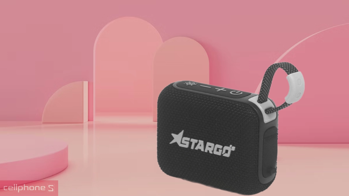 Kích thước màng loa loa bluetooth StarGO Go Mini