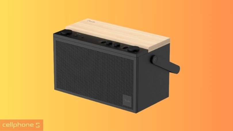 Loa Fender của nước nào