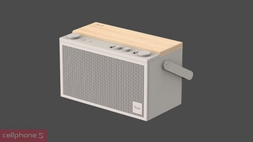 Thiết kế loa fender sang trọng