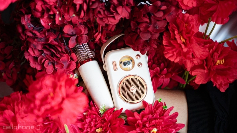 Loa bluetooth là gì