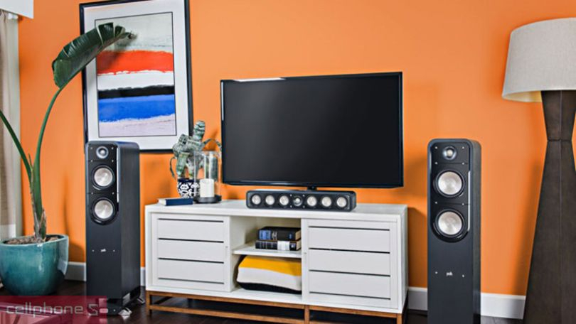 Khả năng tương thích của loa Polk Audio Signature S35