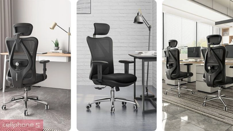Vì sao nên mua ghế công thái học Sihoo M18