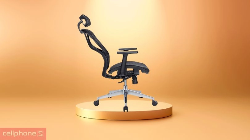 Ghế công thái học E-DRA EEC227