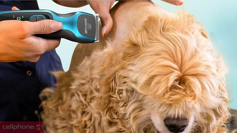 Vì sao nên chọn mua tông đơ cắt tỉa lông thú cưng Oneisall DTJ-001?