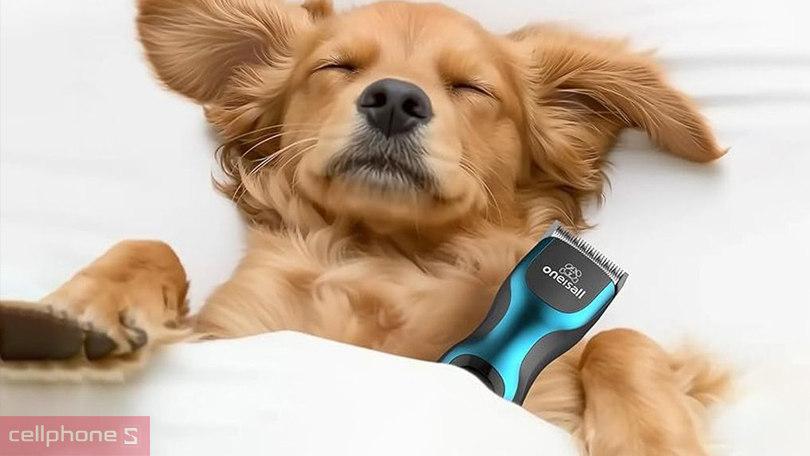 Vận hành êm ái, nhẹ nhàng với độ ồn dưới 55dB, không làm thú cưng sợ hãi