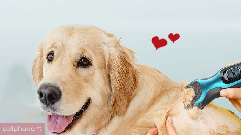 Lưu ý cần nhớ khi sử dụng tông đơ cắt tỉa lông thú cưng Oneisall DTJ-001