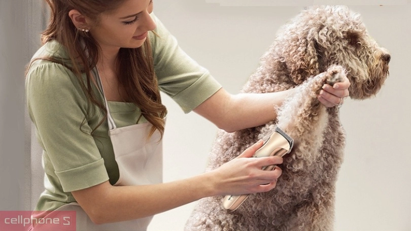 Tông đơ cắt tỉa lông thú cưng Oneisall DTJ-002 - Mang đến vẻ ngoài đáng yêu hơn cho thú cưng của bạn