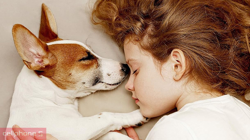 Tông đơ cắt tỉa lông thú cưng Oneisall DTJ-002 - Mang đến vẻ ngoài đáng yêu hơn cho thú cưng của bạn