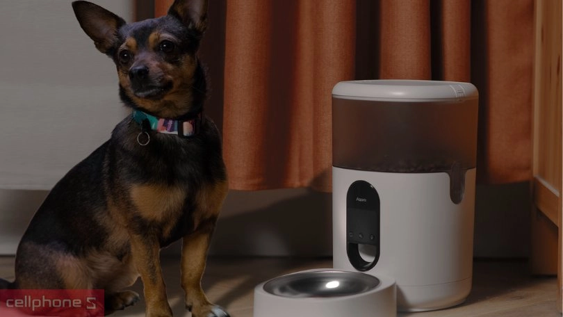 Chăm sóc thú cưng