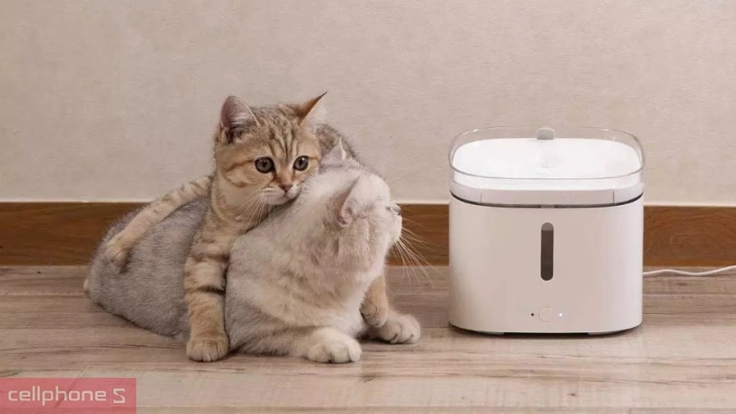 Chăm sóc sức khỏe định kỳ